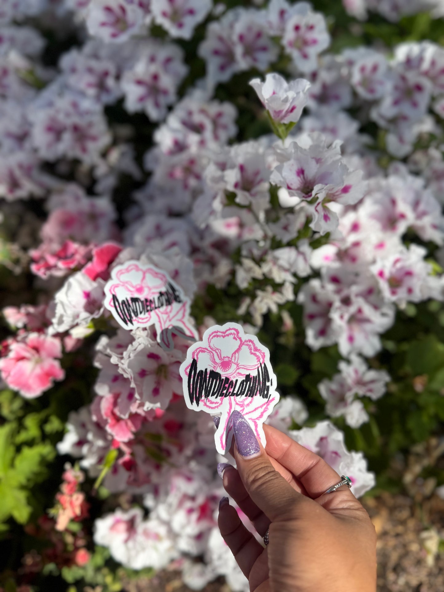 Prelude Bloom